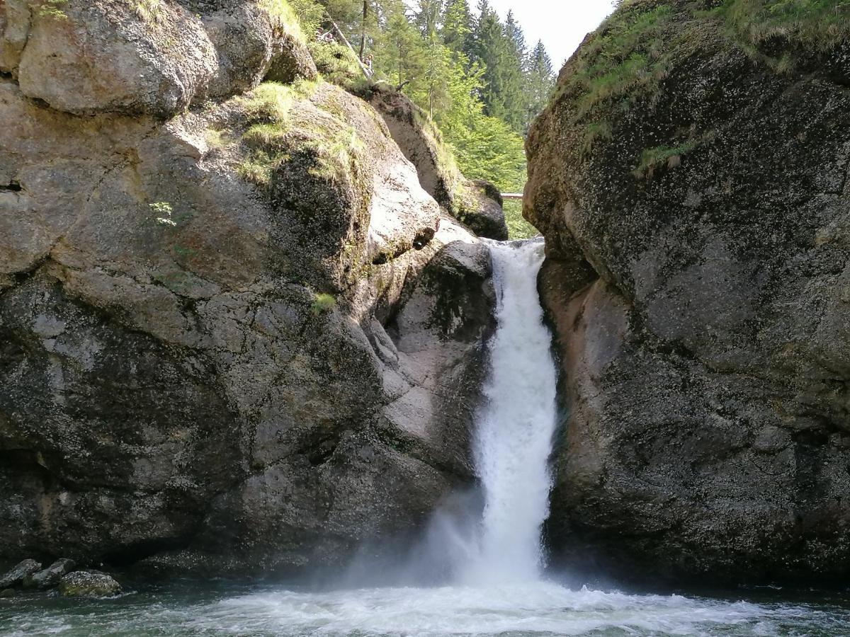 Fruehstueckspension Bilgeri ซาลส์บวร์ก ภายนอก รูปภาพ